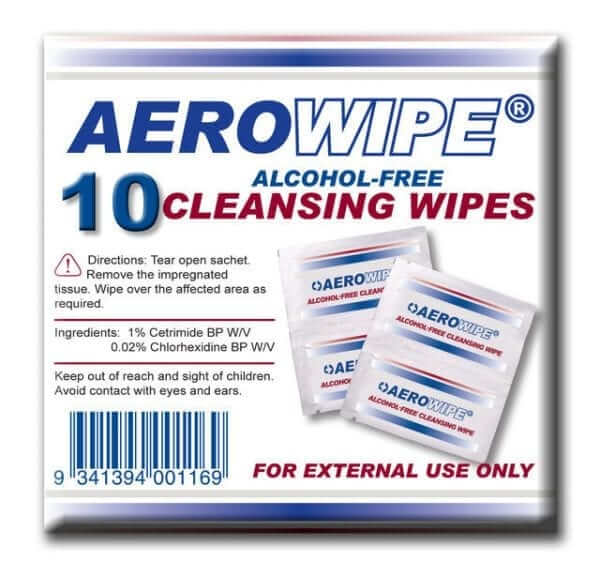 Antiseptic Wipes Packet 10 First Aid Kits and Supplies for Home and