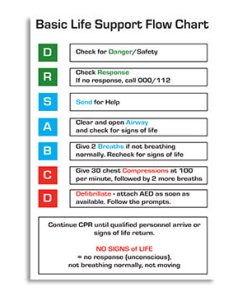 CPR Chart