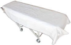 Blankets Disposable Box 50